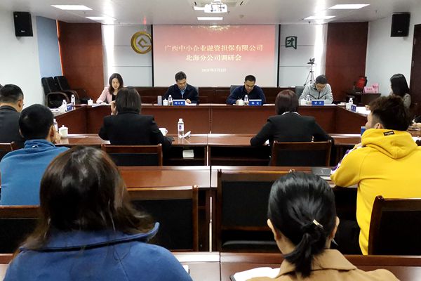 中小擔(dān)保領(lǐng)導(dǎo)赴北海、防城港調(diào)研 